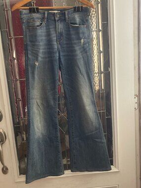 Banana Republic Womens Jeans Premium Denim Straight 28 x 29 Blue Distressed